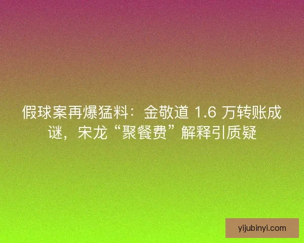假球案再爆猛料：金敬道 1.6 万转账成谜，宋龙 “聚餐费” 解释引质疑